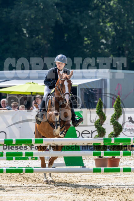 Goldene Schärpe 2021 - Ponys