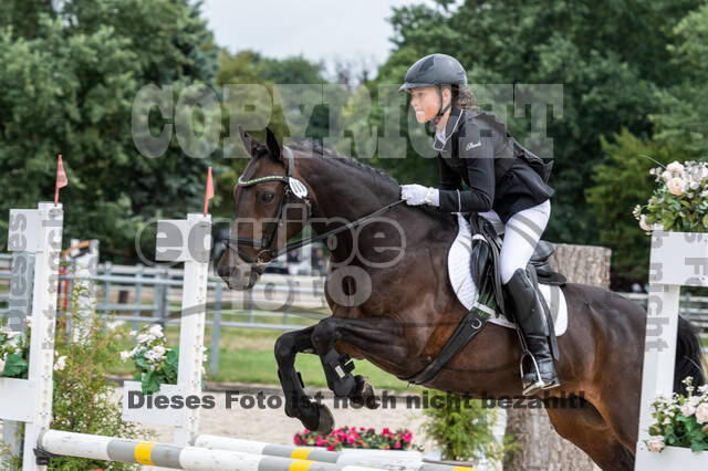 Late-Entry-Vielseitigkeit Langenfeld (06.+07.07.2020)