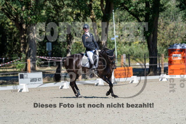 Kronenberg - De Peelbergen (August 2020)