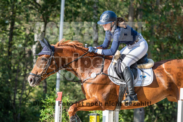 RFV Dinslaken-Hiesfeld (Herbstturnier)