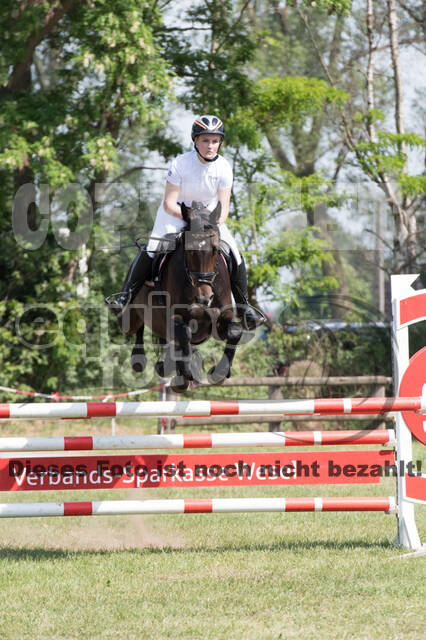 Vielseitigkeitsturnier ZRuFV von Lützow Hamminkeln