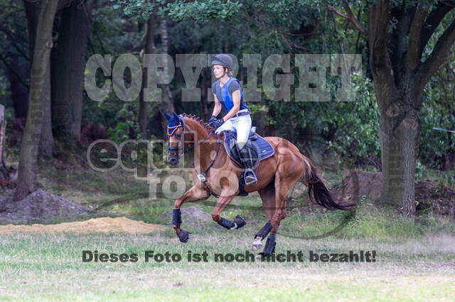 Late-Entry Vielseitigkeit Hamminkeln/Wesel (01.+02.08.2020)