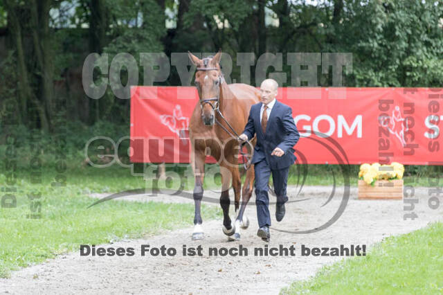 FEI European Championship Eventing 2017