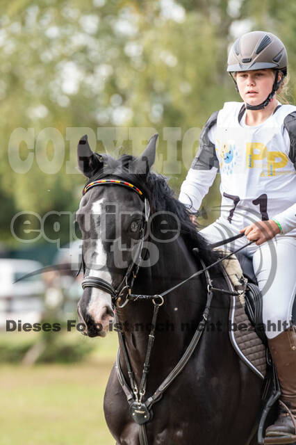 Vielseitigkeit RSV Wesel Obrighoven (26.+27.09.2020)