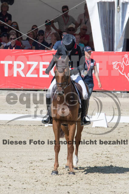 FEI European Championship Eventing 2017