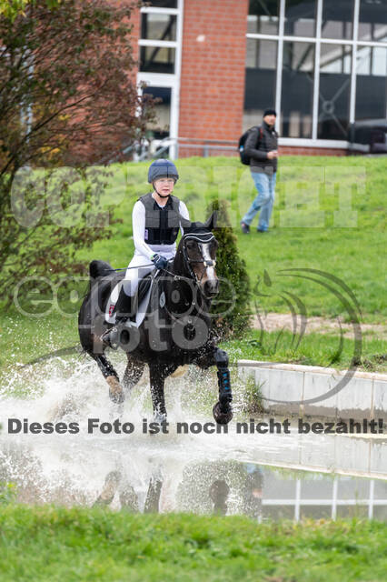 Goldene Schärpe 2020 - Pferde