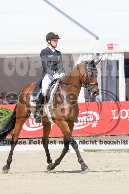 FEI European Championship Eventing 2017