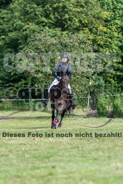 Goldene Schärpe 2021 - Ponys