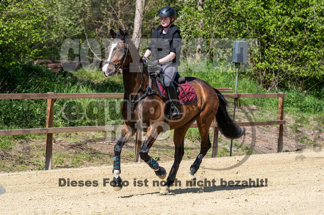Geländetraining ZRFV Hamminkeln (09.05.2021)