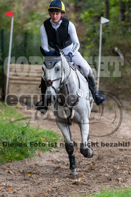 Goldene Schärpe 2020 - Pferde