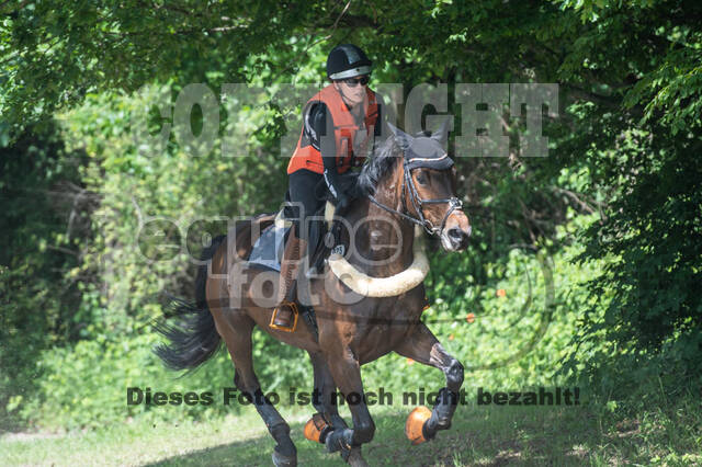 Test of Choise Langenfeld (29.+30.05.2021)