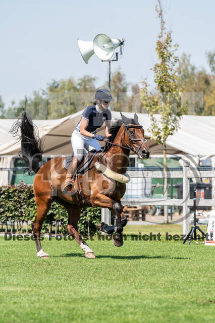 Kronenberg - De Peelbergen (August 2020)