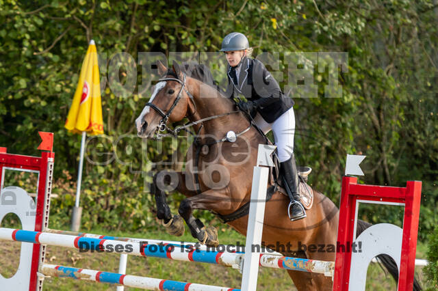 RFV Dinslaken-Hiesfeld (Herbstturnier)