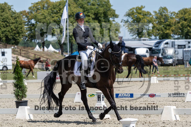 Kronenberg - De Peelbergen (August 2020)