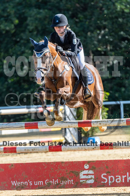 RFV Dinslaken-Hiesfeld (Herbstturnier)
