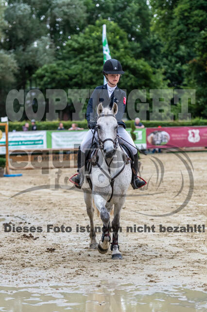 Goldene Schärpe 2021 - Ponys