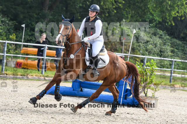 Late-Entry-Vielseitigkeit Langenfeld (11.+13./14.06.2020)