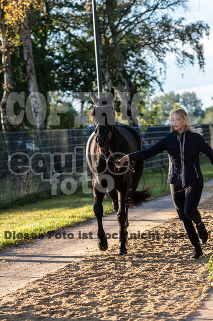 Deutsche Meisterschaft Vielseitigkeit (Luhmühlen)