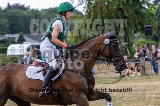 Late-Entry Vielseitigkeit Hamminkeln/Wesel (01.+02.08.2020)