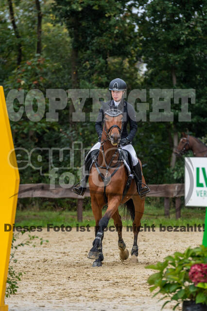 Vielseitigkeit RSV Wesel Obrighoven (26.+27.09.2020)