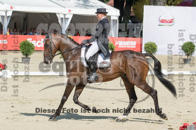 FEI European Championship Eventing 2017