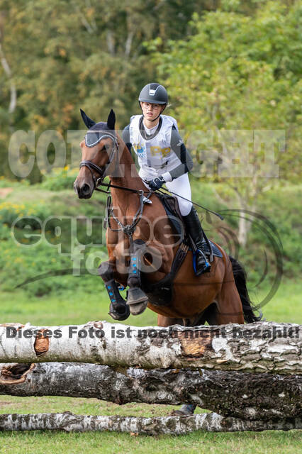 Vielseitigkeit RSV Wesel Obrighoven (26.+27.09.2020)