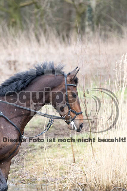 Geländetraining RSV Wesel Obrighoven