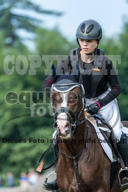 Goldene Schärpe 2021 - Ponys