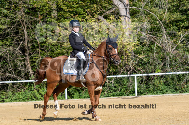 RFV Dinslaken-Hiesfeld (Herbstturnier)