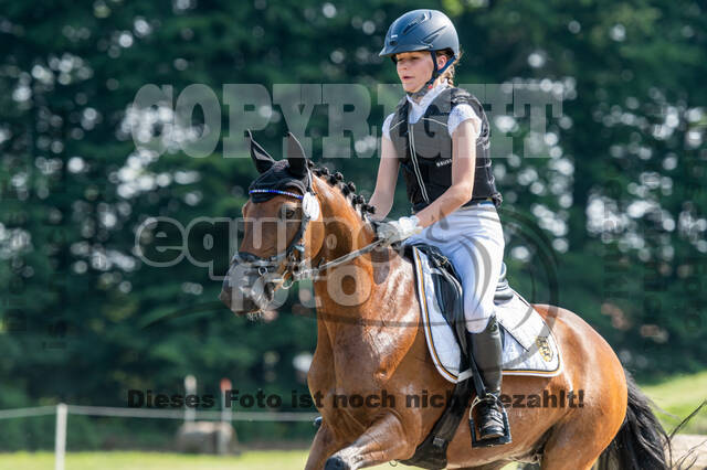 Goldene Schärpe 2021 - Ponys