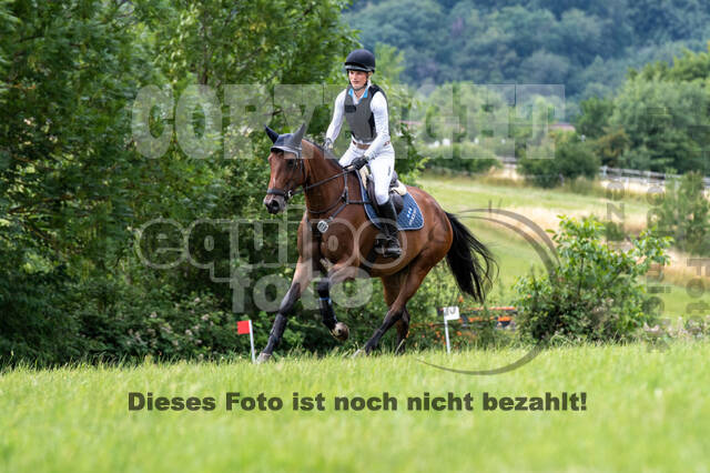 Bonn-Rodderberg Late-Entry-Vielseitigkeit (30.06.2020)