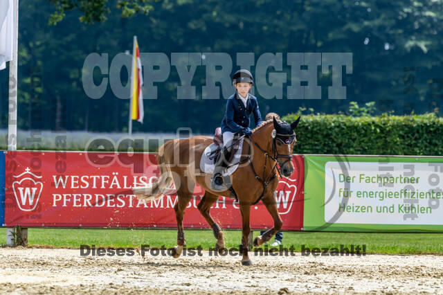 Goldene Schärpe 2021 - Ponys