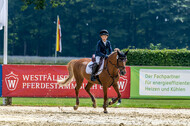 Goldene Schärpe 2021 - Ponys