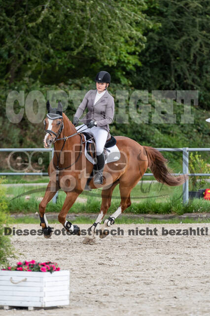 Late-Entry-Vielseitigkeit Langenfeld (06.+07.07.2020)