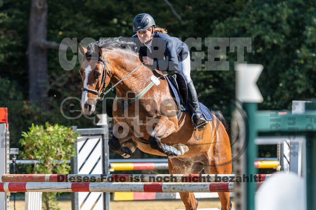 RFV Dinslaken-Hiesfeld (Herbstturnier)