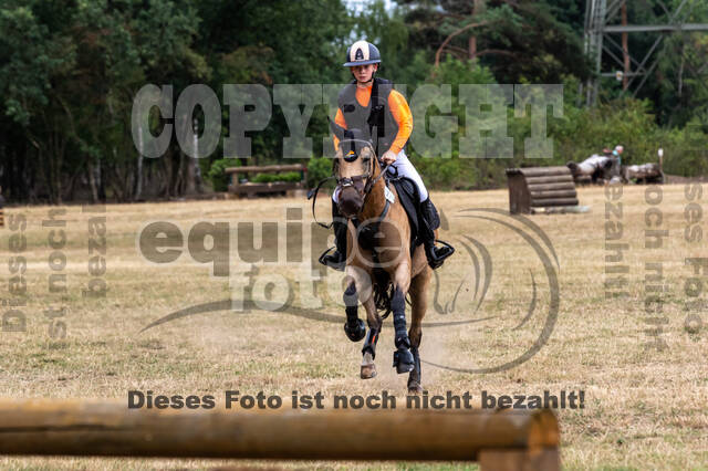 Late-Entry Vielseitigkeit Hamminkeln/Wesel (01.+02.08.2020)