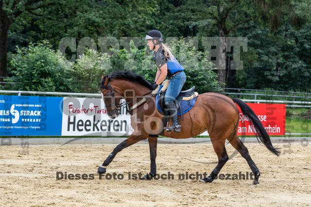 Hunter Geländetraining 10.07.2021 (Sonsbeck)
