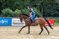 Hunter Geländetraining 10.07.2021 (Sonsbeck)