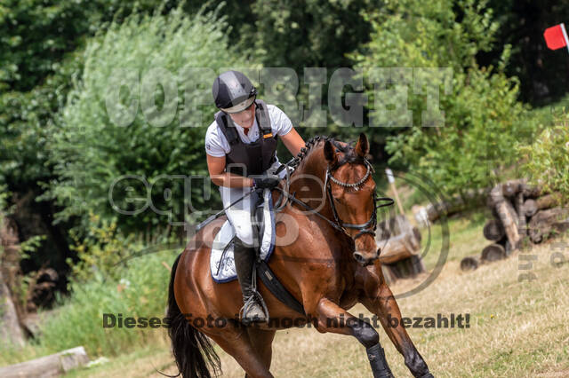 Late-Entry Vielseitigkeit Hamminkeln/Wesel (01.+02.08.2020)