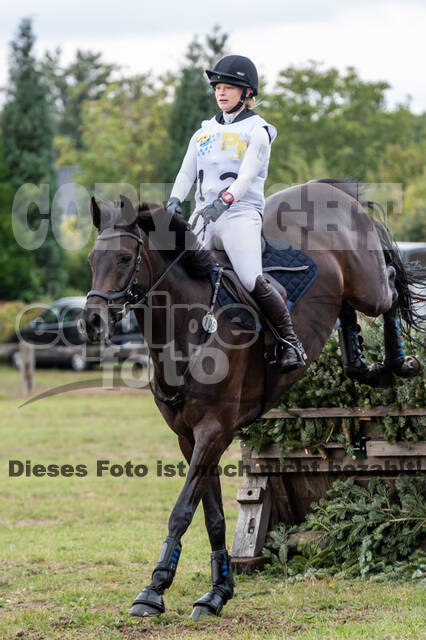 Vielseitigkeit RSV Wesel Obrighoven (26.+27.09.2020)