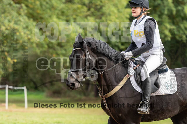 Vielseitigkeit RSV Wesel Obrighoven (26.+27.09.2020)