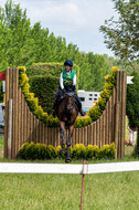 Westerstede Horse Trials (10.-13.06.2021)