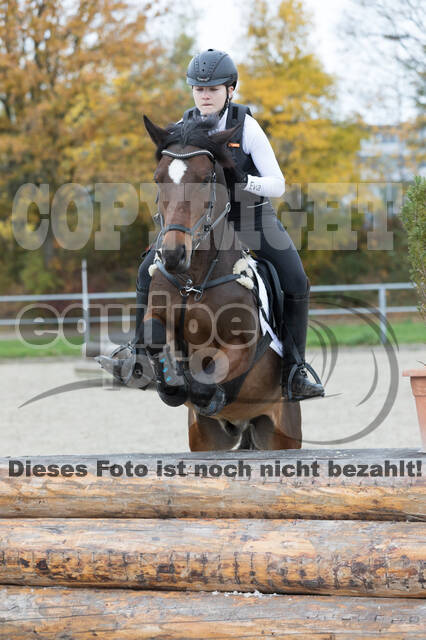 IGV Lehrgang der Sieger der Cups mit Frank Ostholt