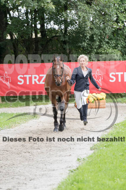 FEI European Championship Eventing 2017