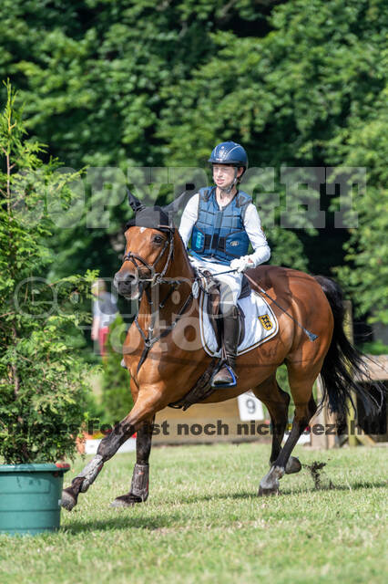 Goldene Schärpe 2021 - Ponys
