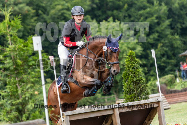 Goldene Schärpe 2021 - Ponys