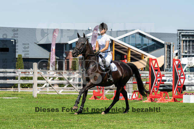 Kronenberg - De Peelbergen (August 2020)