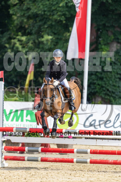 Goldene Schärpe 2021 - Ponys
