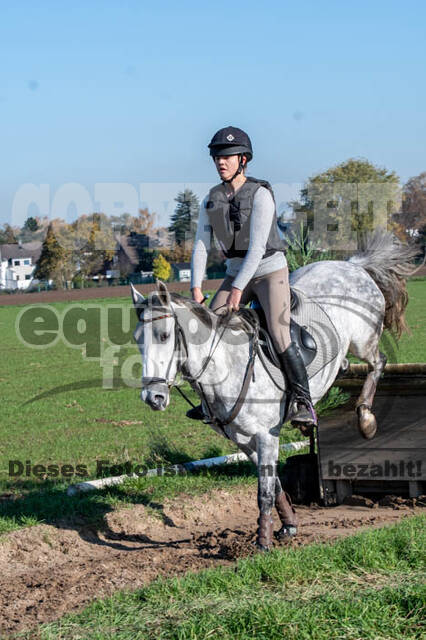Vielseitigkeitslehrgang mit Jürg Kurbel (9.+10.11.2019)