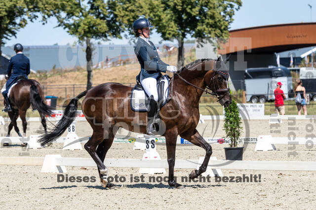 Kronenberg - De Peelbergen (August 2020)